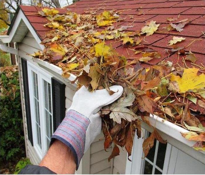 Follow these tips to check for roof damage!