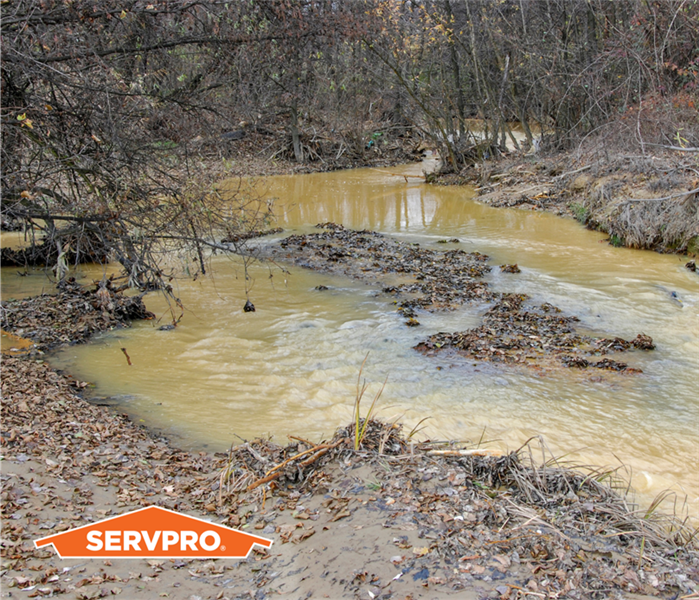 stream in woods after rainfall with muddy water, potential flood water causing water damage, murky brown water, SERVPRO logo